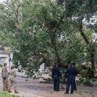 Irishman John Nolan living in Tampa