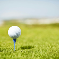 A look ahead to a busy weekend of sport