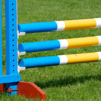 Army showjumping horse fails drugs test after qualifier for RDS