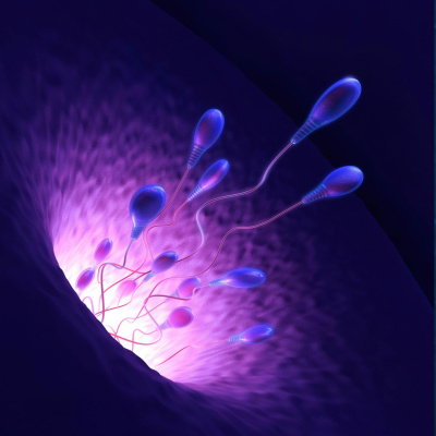 Highlights From The Pat Kenny Show