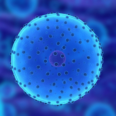 Highlights From The Pat Kenny Show