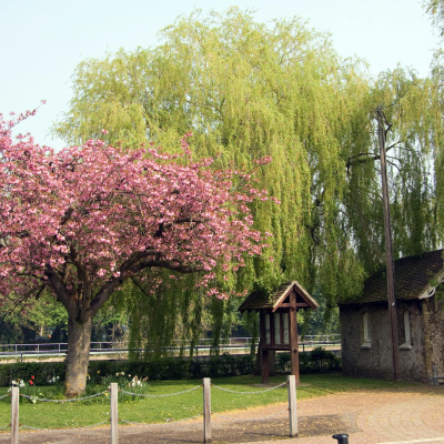 Highlights From The Pat Kenny Show