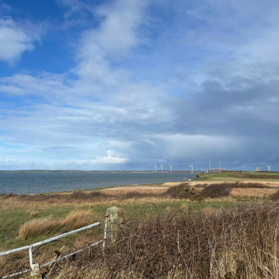 Highlights From The Pat Kenny Show