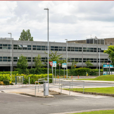 Highlights From The Pat Kenny Show