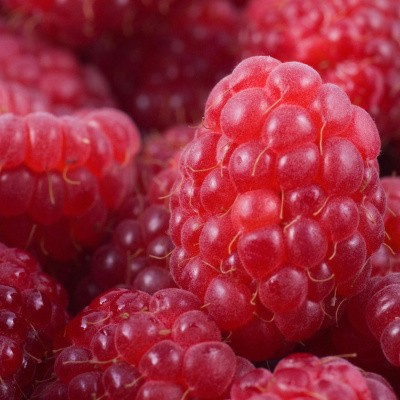 Highlights From The Pat Kenny Show