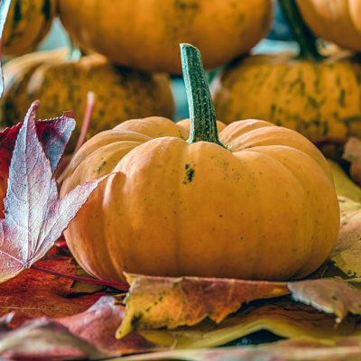 Highlights From The Pat Kenny Show