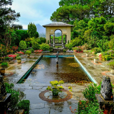 Highlights From The Pat Kenny Show