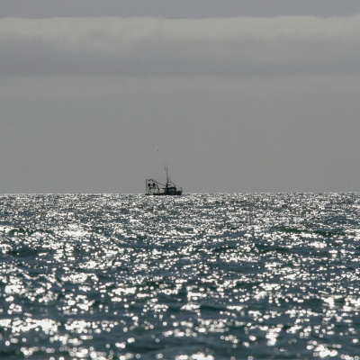 Highlights From The Pat Kenny Show