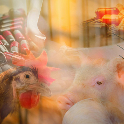 Highlights From The Pat Kenny Show