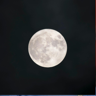 Highlights From The Pat Kenny Show