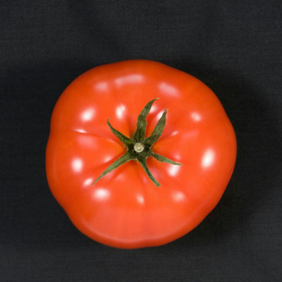 Highlights From The Pat Kenny Show