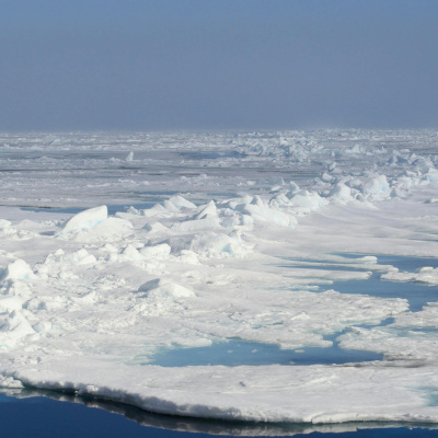 Highlights From The Pat Kenny Show