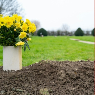 Highlights From The Pat Kenny Show