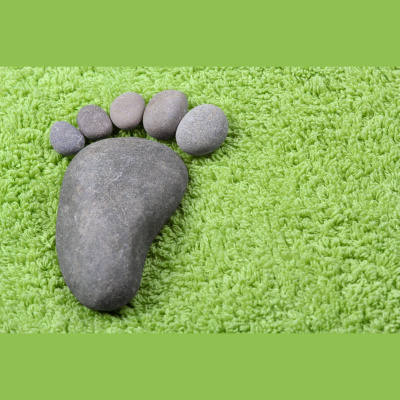 Highlights From The Pat Kenny Show