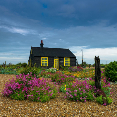 Highlights From The Pat Kenny Show