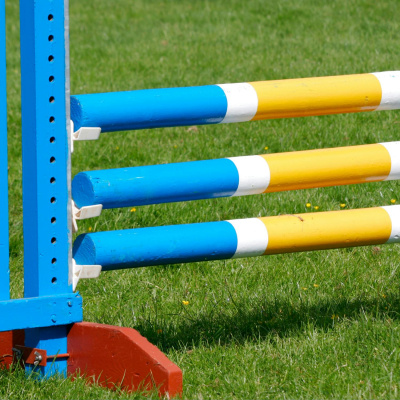 Highlights From The Pat Kenny Show