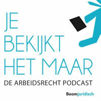 Je Bekijkt Het Maar - Aflevering 2: Slapend dienstverband en Payrolling