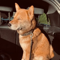 Samon 12.04.25 | VISLA FM