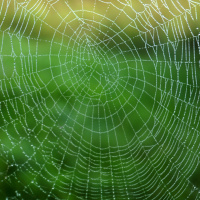 Moon Ki의 좋은 아침입니다 with Dan Dara 09.09.25 | VISLA FM