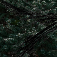 Icy Sounds - AEIDA 11.12.25 | VISLA FM