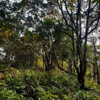 amorphous hour - squish 02.20.25 | VISLA FM