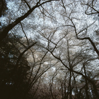 amorphous hour - squish with claeryns 03.20.25 | VISLA FM