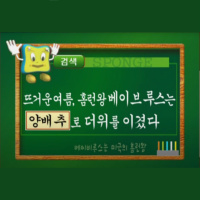 양배추네 여름휴가 - Riff Fool 09.18.25 | VISLA FM