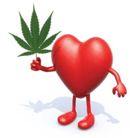 ionne supply drink 4pm sweat invites Dduldan 05.23.25 | VISLA FM