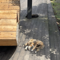 KIKI 08.05.25 | VISLA FM