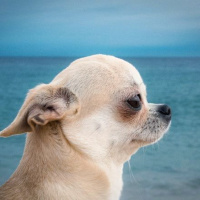 SZO 08.12.25 | VISLA FM