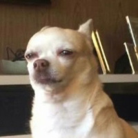 SZO 03.21.25 | VISLA FM