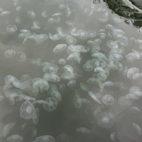 UNLUCKYME 09.16.25 | VISLA FM