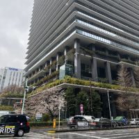 Monthly Pleasure - Moontaek Oh 04.24.25 | VISLA FM