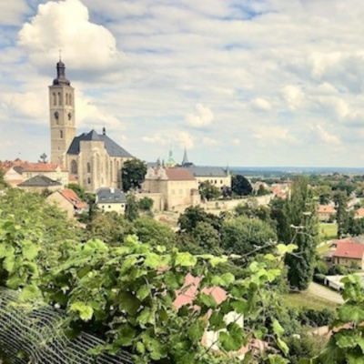 Mirada A Través De Una Cámara