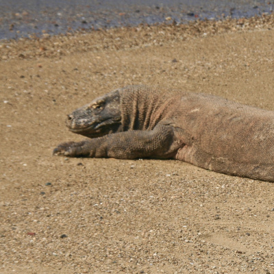 Mirada A Través De Una Cámara