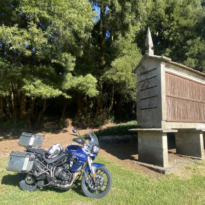 Mirada A Través De Una Cámara