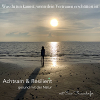 #95 Was du tun kannst, wenn dein Vertrauen erschüttert ist