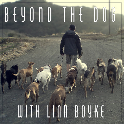 Beyond The Dog With Linn Boyke