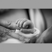 Las etapas en la vida