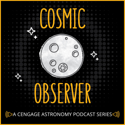 Cosmic Observer