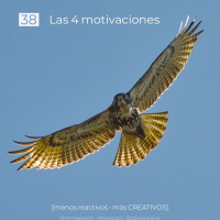 38 Las 4 motivaciones