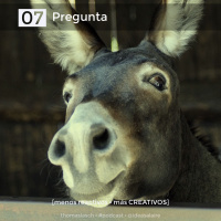 07 Pregunta