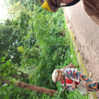 #249 Pedaleando el loop de Mae Hong Son (2): Mae Hong Son y Pang Mapah - Episodio exclusivo para mecenas