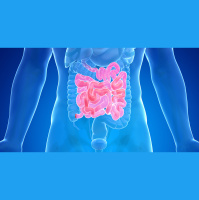 Intestino e cervello: un dialogo continuo per il nostro benessere