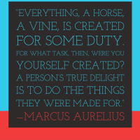 198 - The Fear of Knowing What You Want