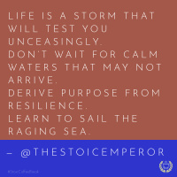 277 - Embracing the Unexpected: How to Handle Lifes Plot Twists Like a Stoic