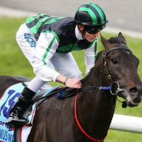 Cox Plate-winning jockey Chad Schofield