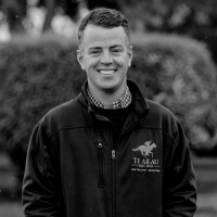 Leading NZ trainer Jamie Richards