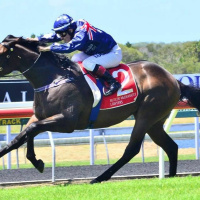 David Vandyke - trainer of leading Caulfield Guineas chance Alligator Blood