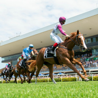Magic Millions 2yo Classic - Jockey Dale Smith  Dusty Tycoon